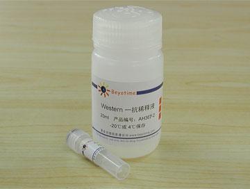 His-tag抗体(小鼠单抗)